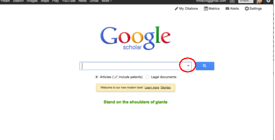 Google Scholar Search